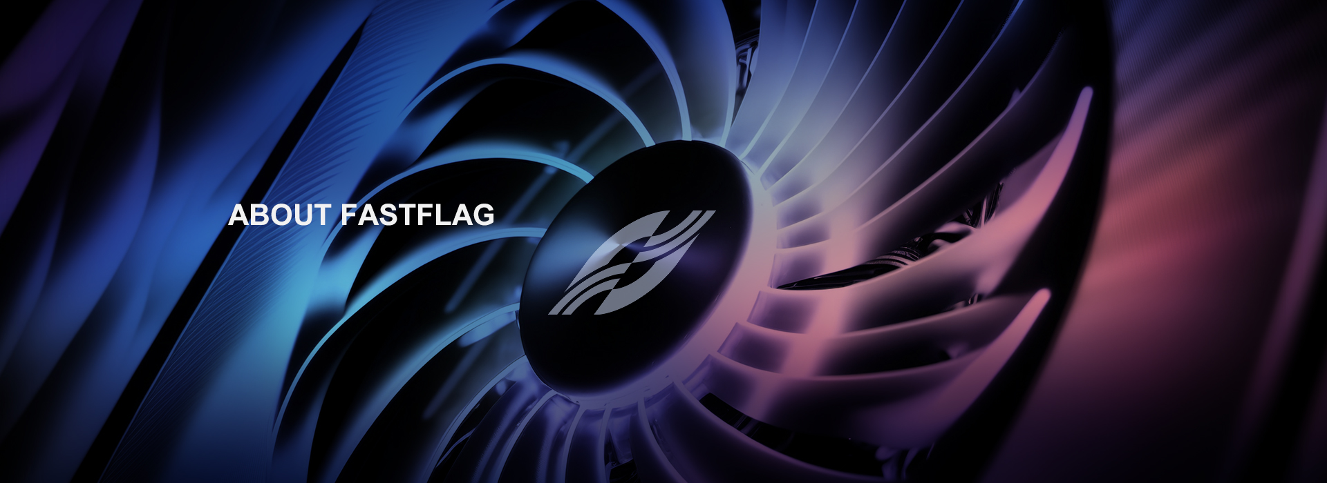 About FASTFLAG